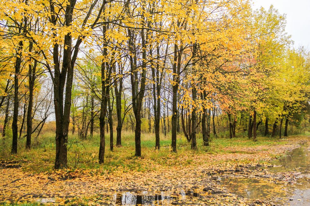 Photograph by Герман