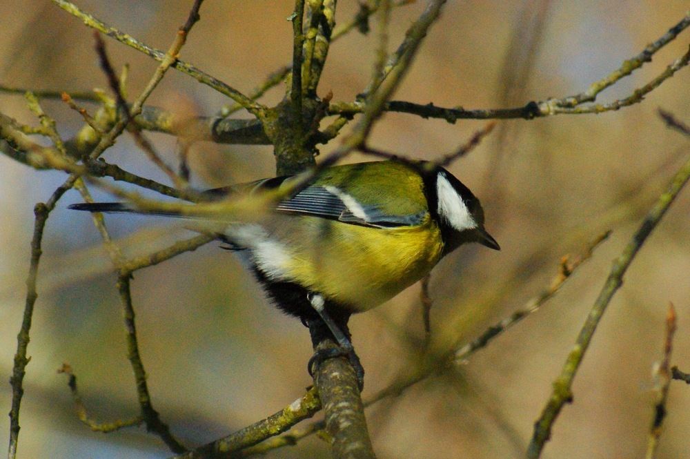 Photograph by Юлия