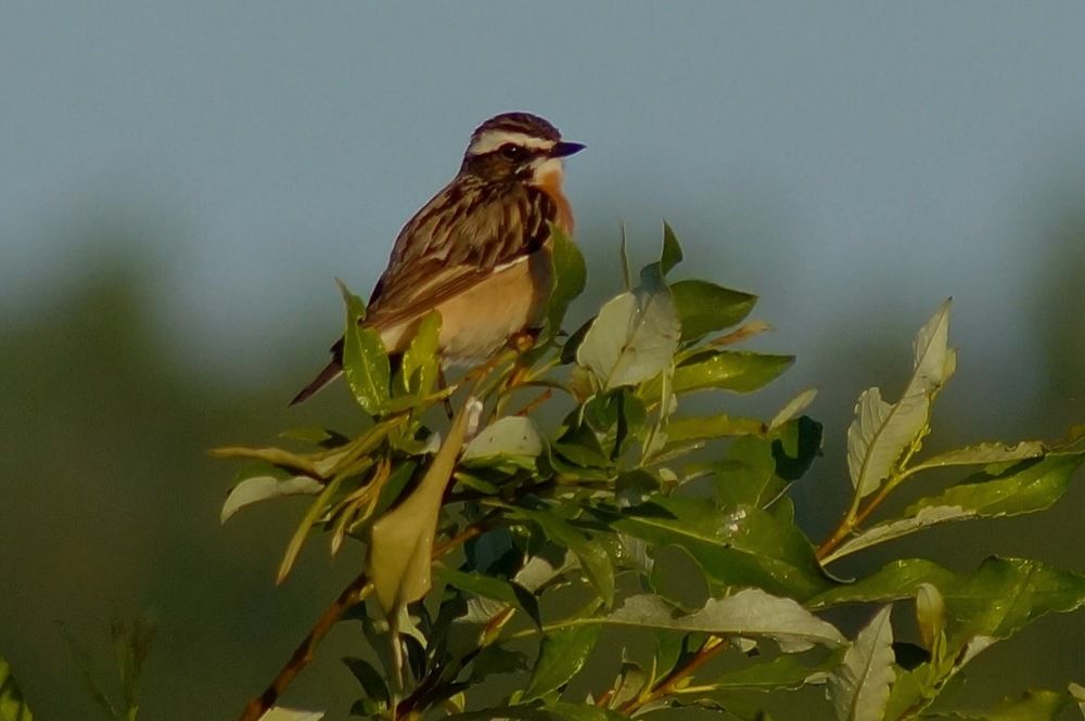 Photograph by Юлия