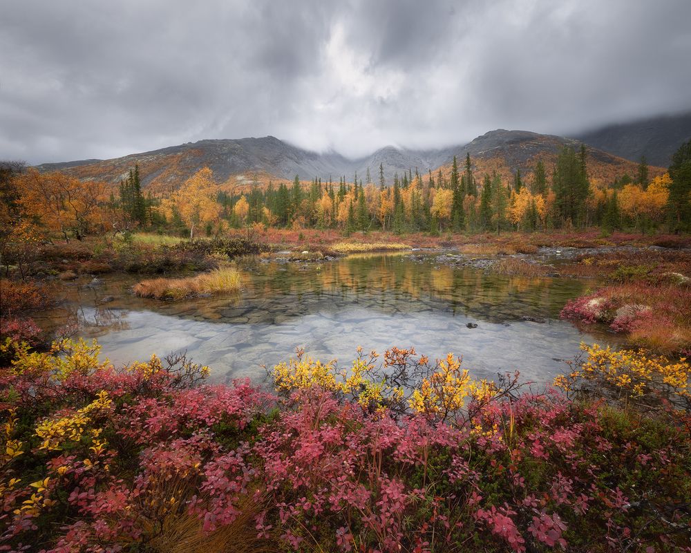 Дождливое утро в Хибинах