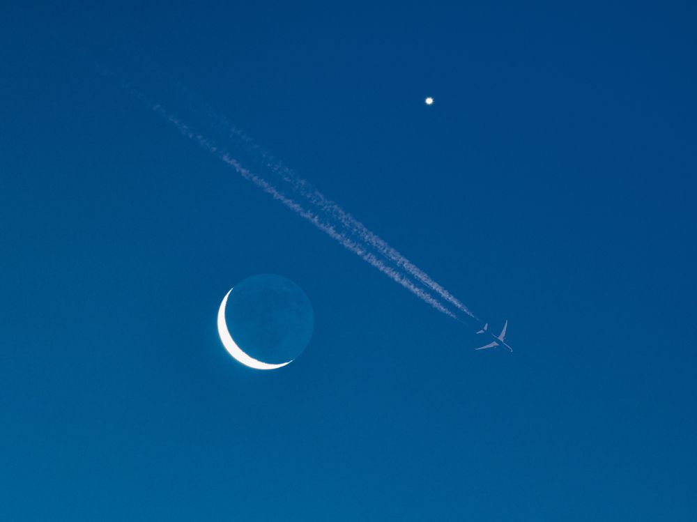 Улыбка Чеширского кота