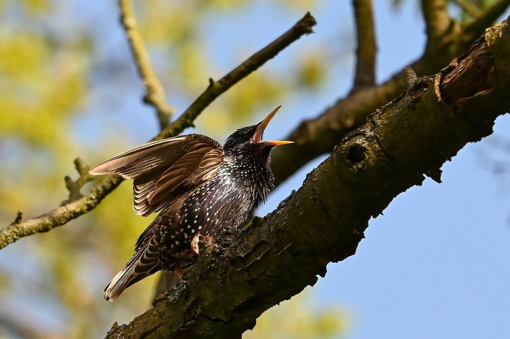 Photograph by Jiří Muller