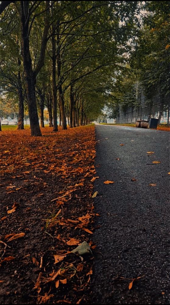 Photograph by Юлия