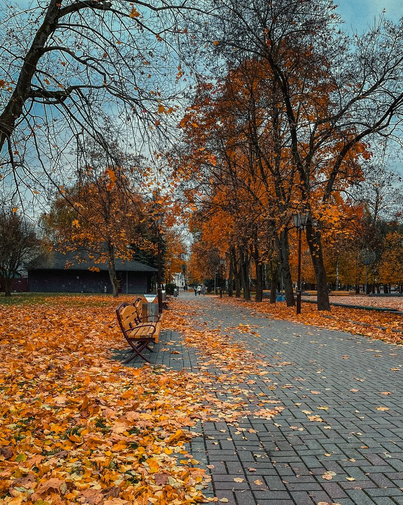 Фотография автора Ольга Каминская