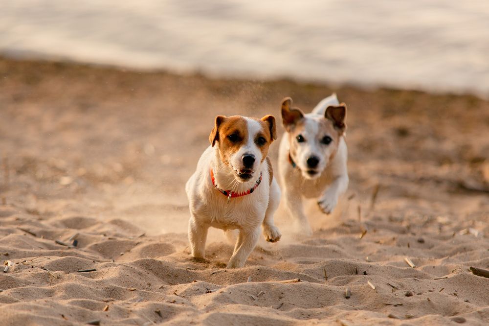 Photograph by Ольга