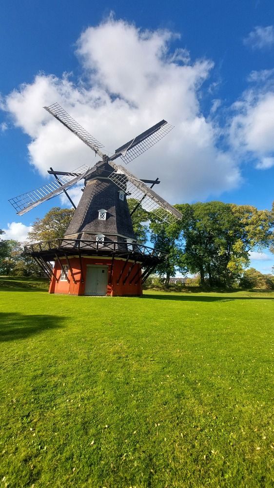 Photograph by Mostafa Shahriar