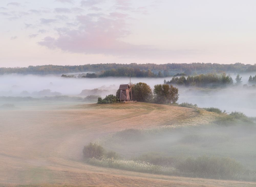 Photograph by Елена Ермолина