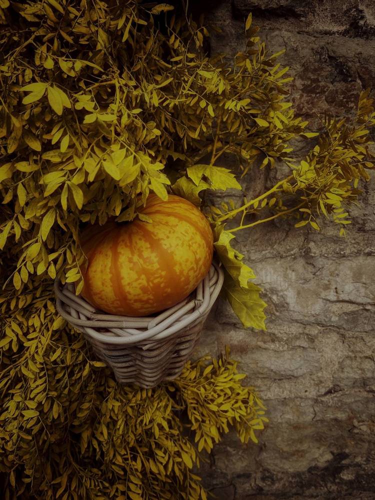 Photograph by Юлия