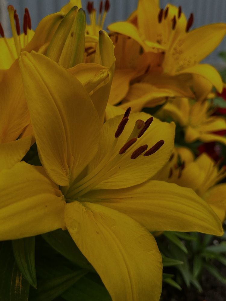 Photograph by Юлия