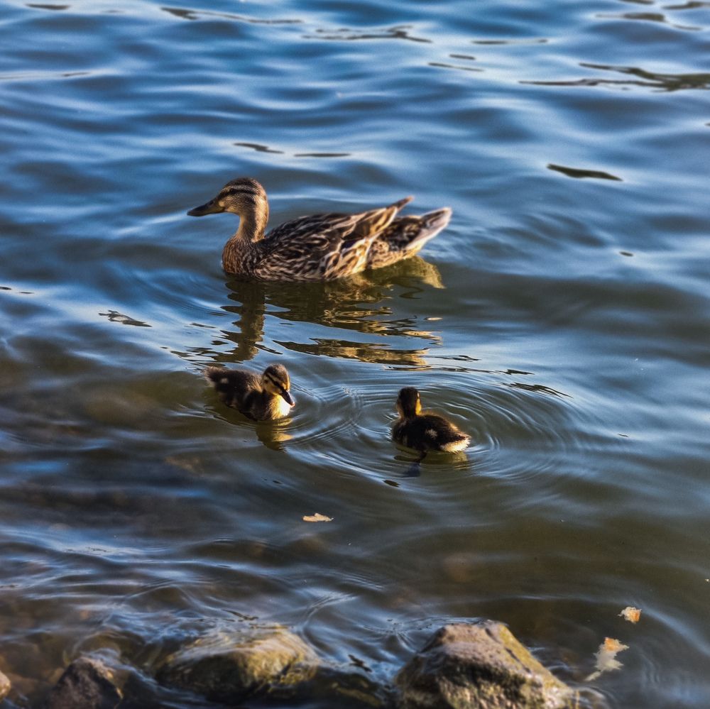 Photograph by Татьяна