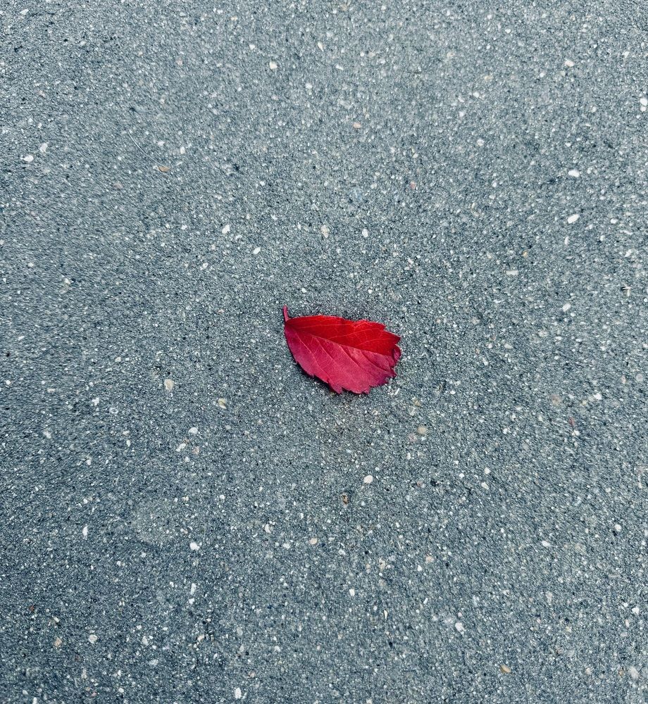Photograph by Анна Березина