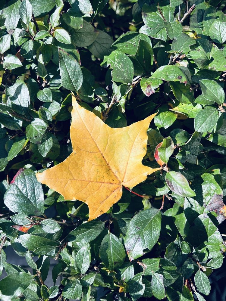 Photograph by Анна Березина