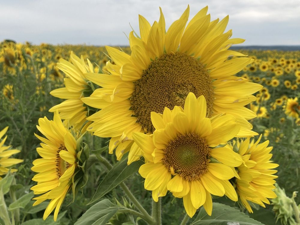 Make Sure You Get My Good Side