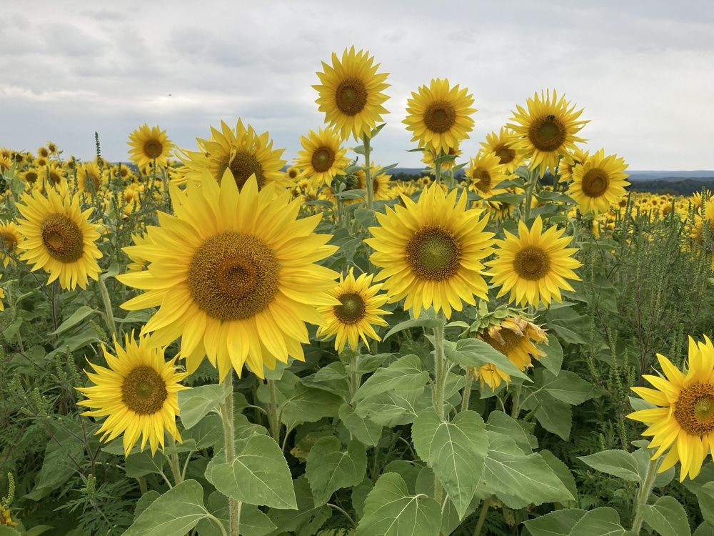 Make Sure You Get My Good Side