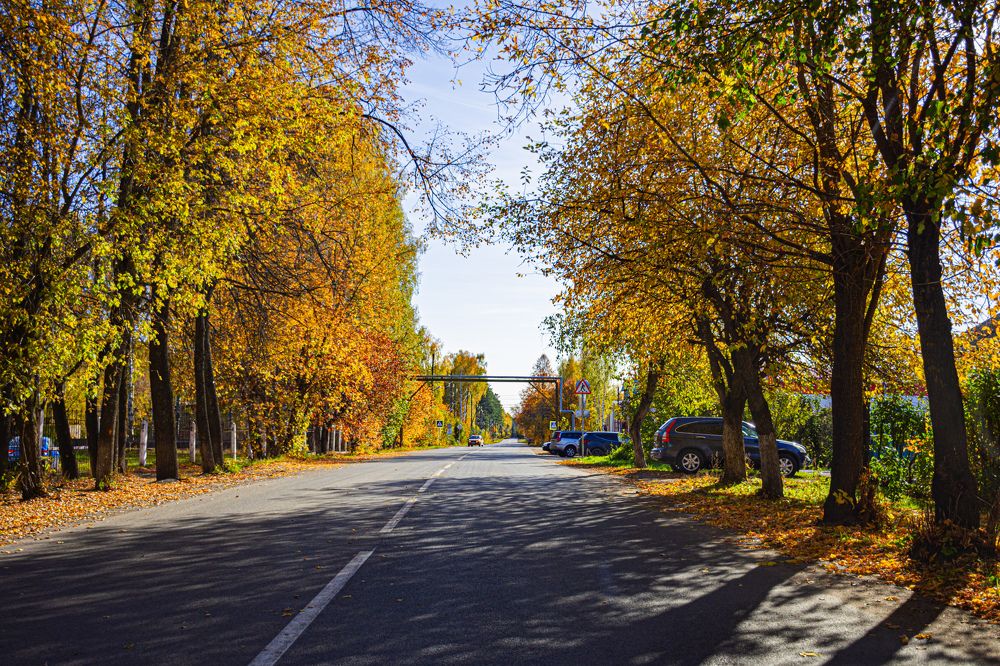 Photograph by Игорь Скорняков