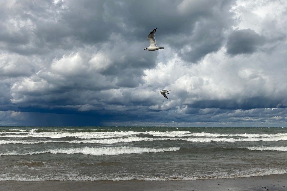 Photograph by Stephanie Stafford