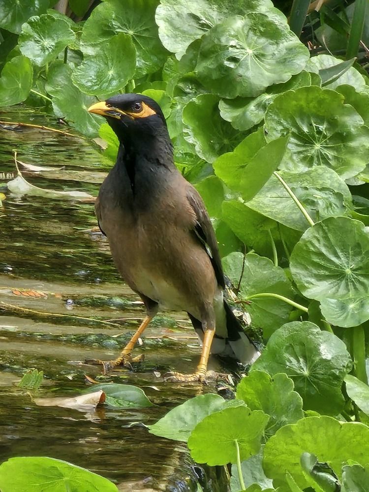 Фотография автора Oksana Podgorodetska