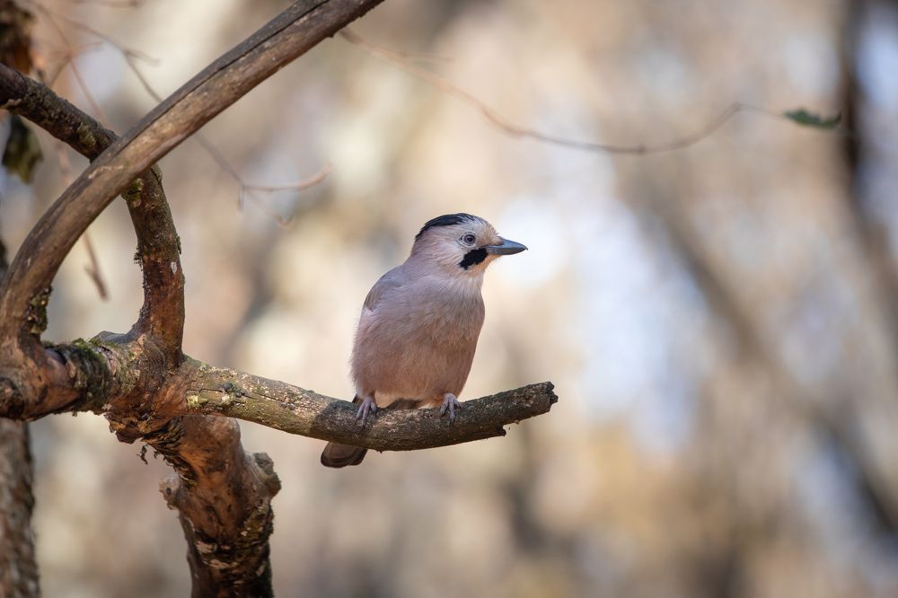 Photograph by Антон Скоморохов