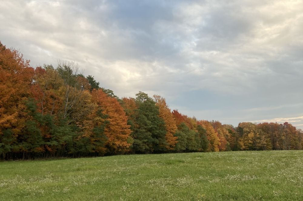 Photograph by Stephanie Stafford