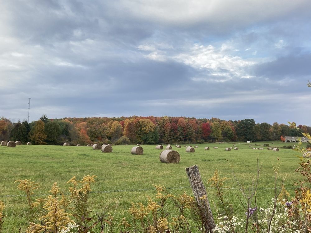 Photograph by Stephanie Stafford