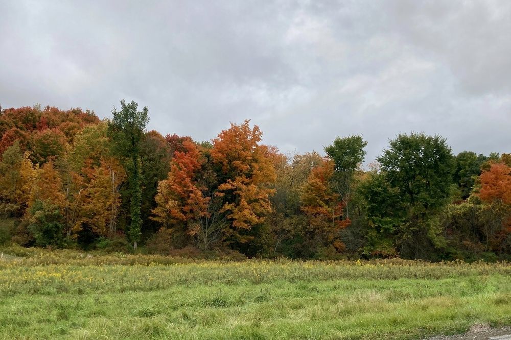 Photograph by Stephanie Stafford