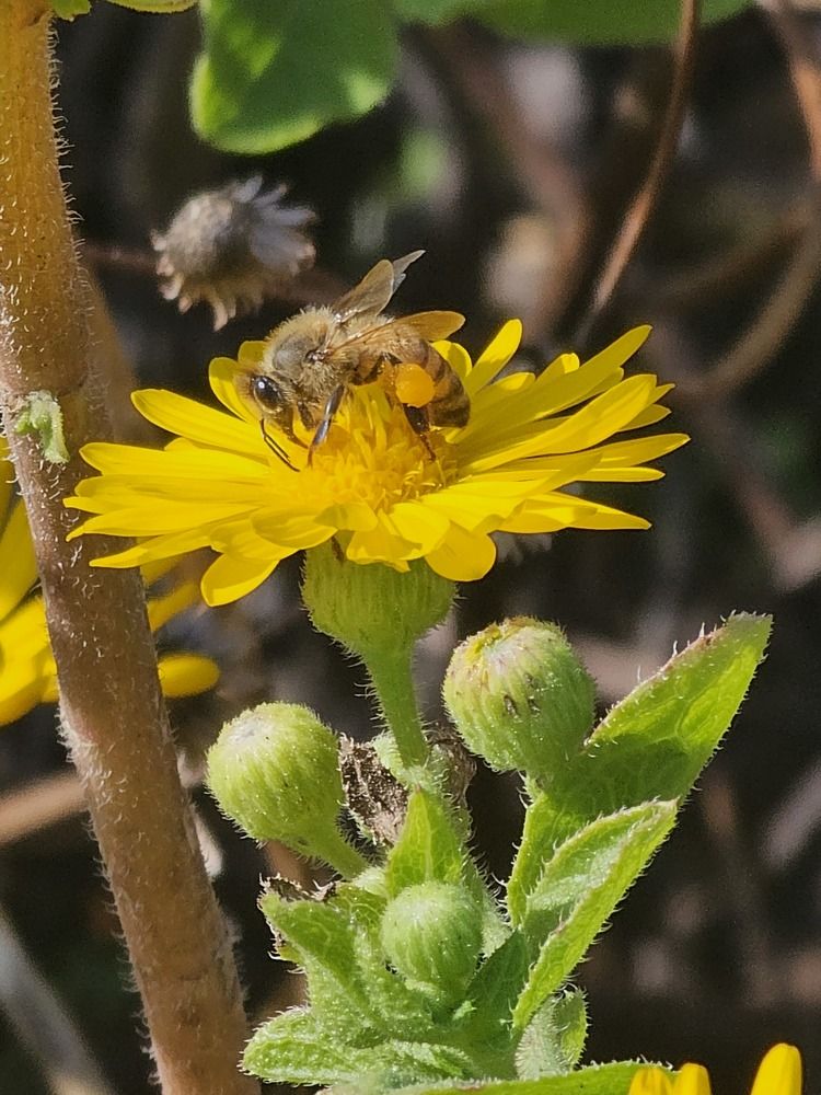 Фотография автора Oksana Podgorodetska