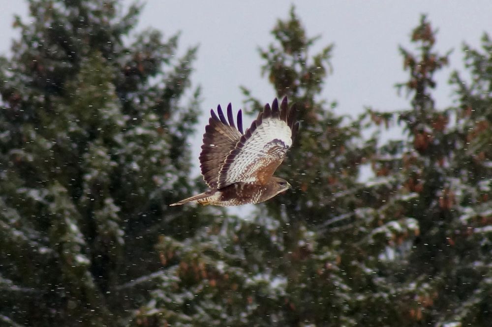 Photograph by Юлия