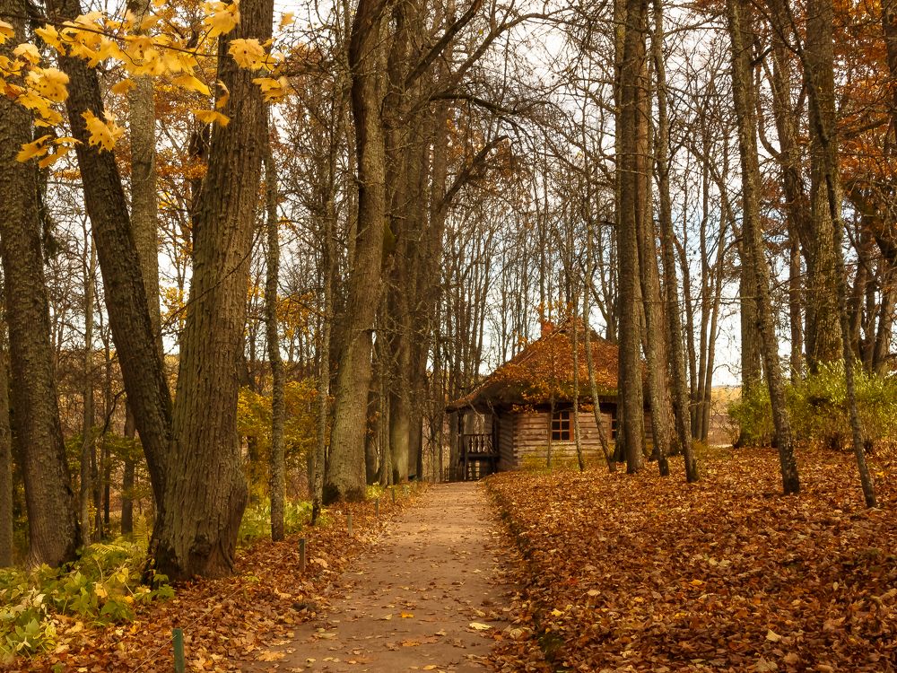 Photograph by Наталья Колеватова