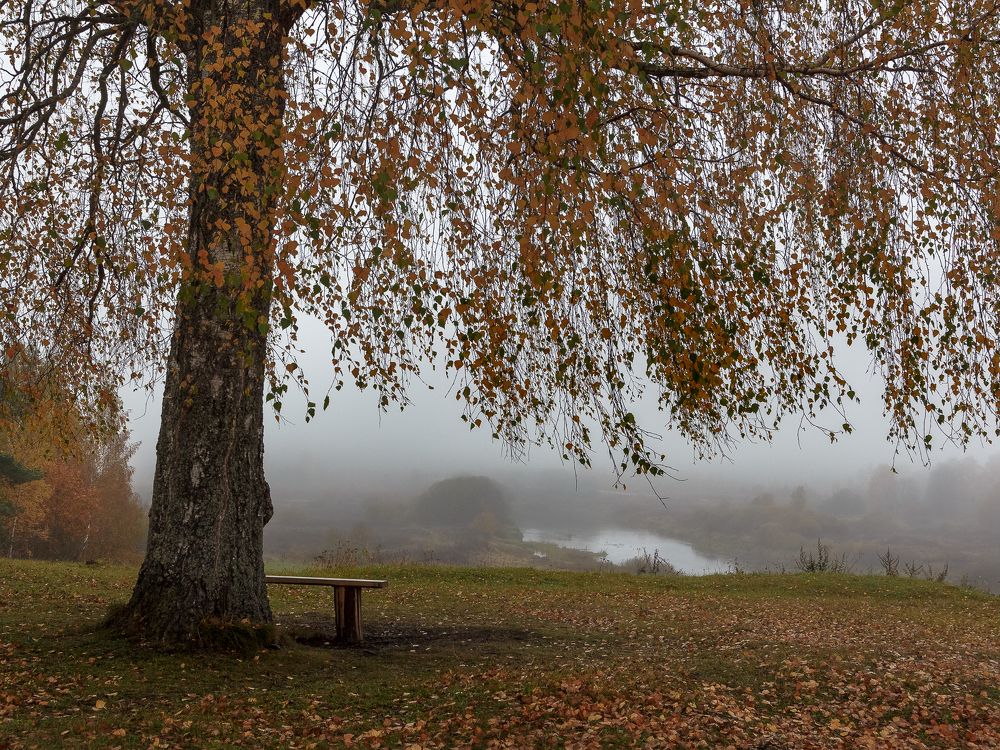 Photograph by Наталья Колеватова