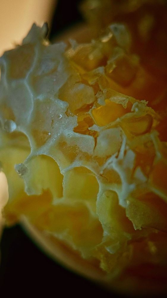 Photograph by Mariia Voloshina