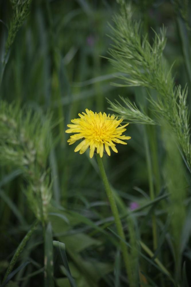 Photograph by Титова Наталья