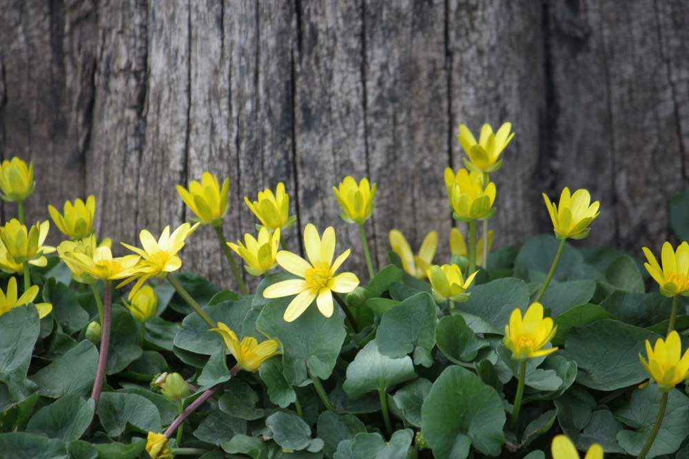 Photograph by Титова Наталья