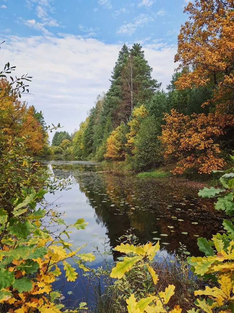 Photograph by Татьяна Емельянова