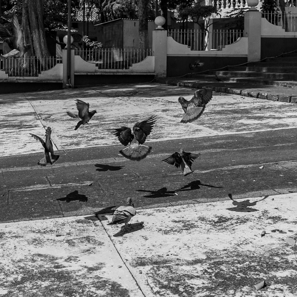 Photograph by Armando López-Guerrero