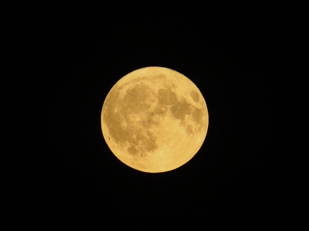 Photograph by Оксана Малахова