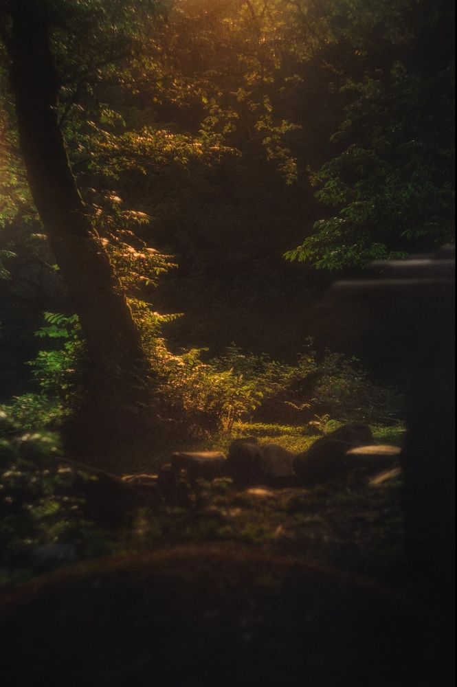 Photograph by Галиб Багиров