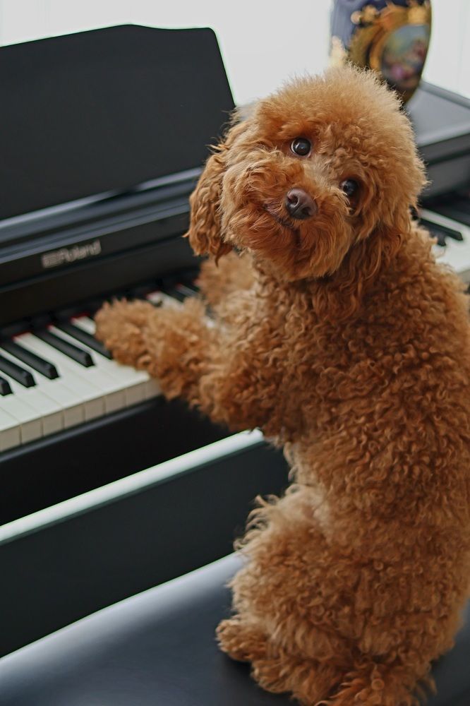 Photograph by Erfan Saee