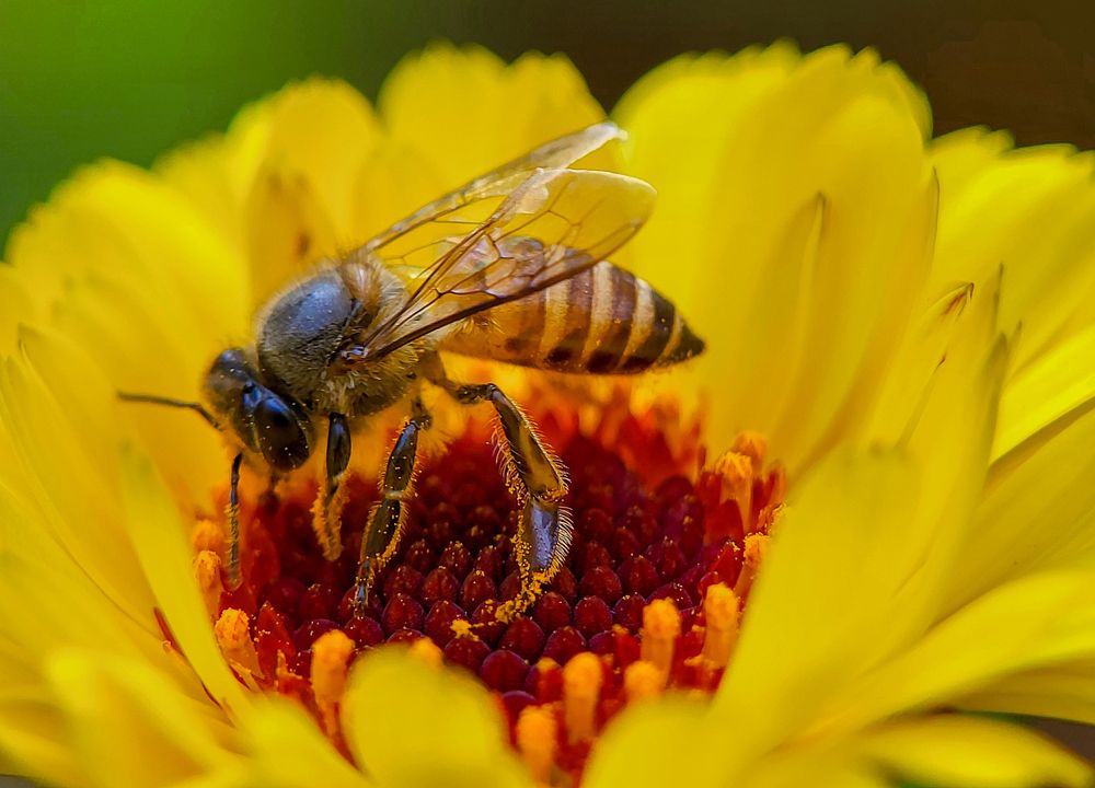 Photograph by Souradip Dey