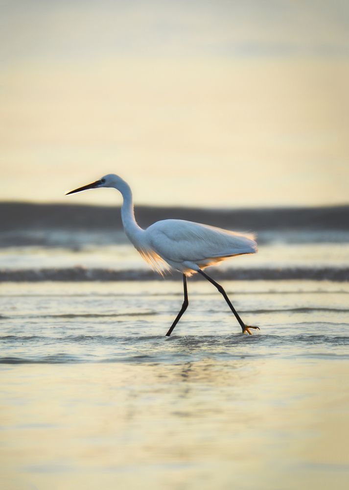 Фотография автора farshad shahani