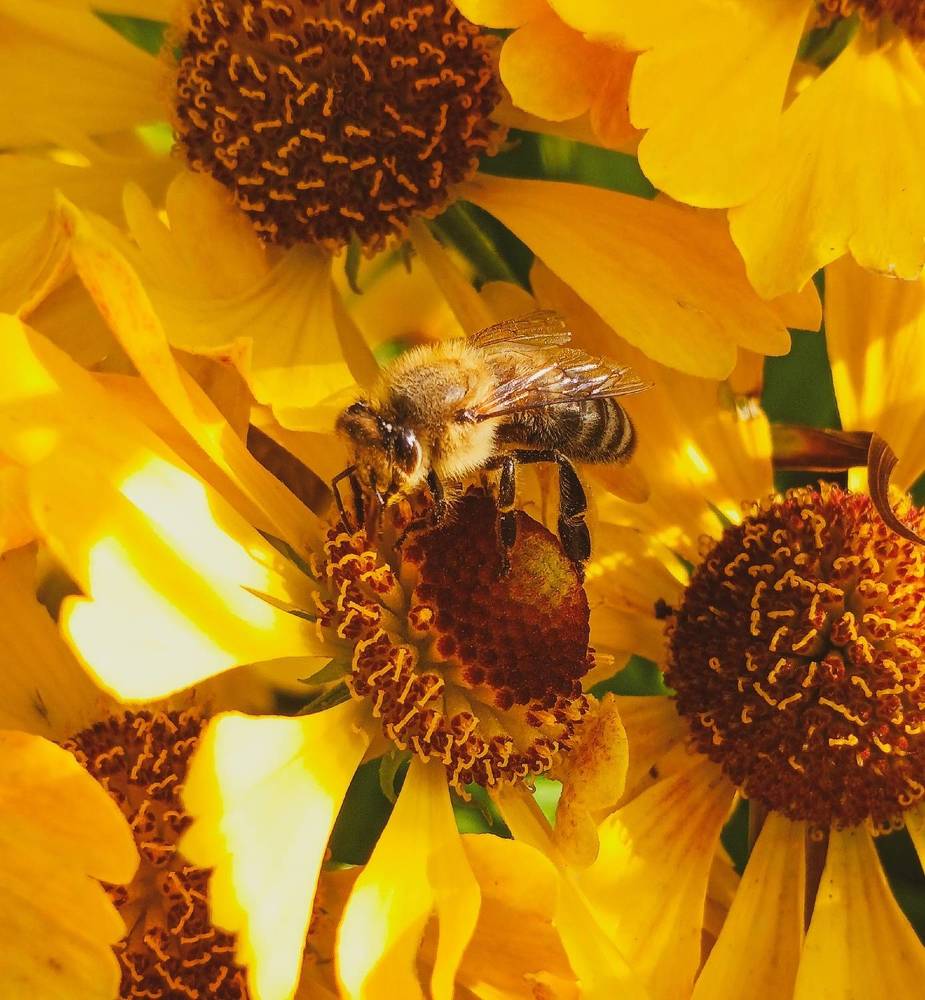 Фотография автора Valerya Vasileva