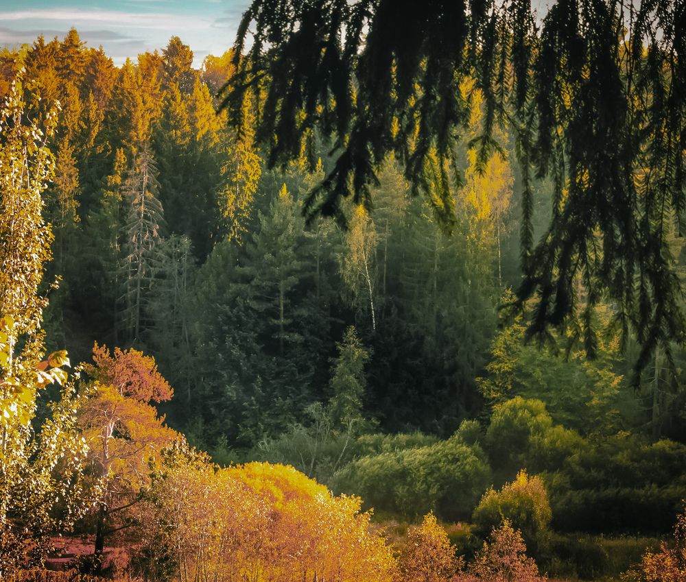 Photograph by Dina Garipova