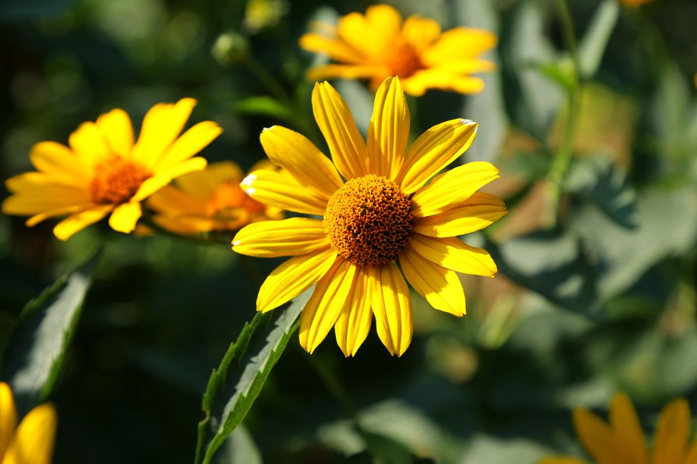 Photograph by София Лаврентьева