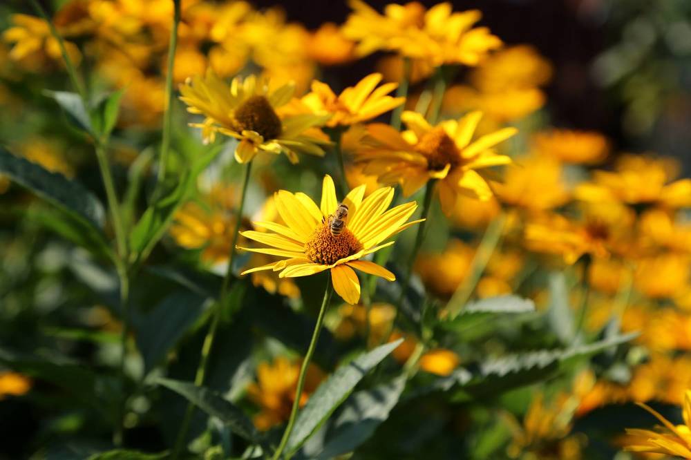 Photograph by София Лаврентьева