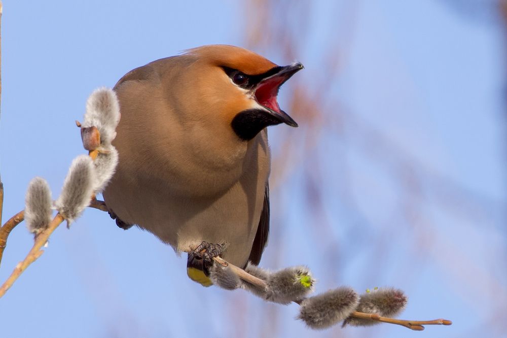 Фотография автора Viktoriya Kim