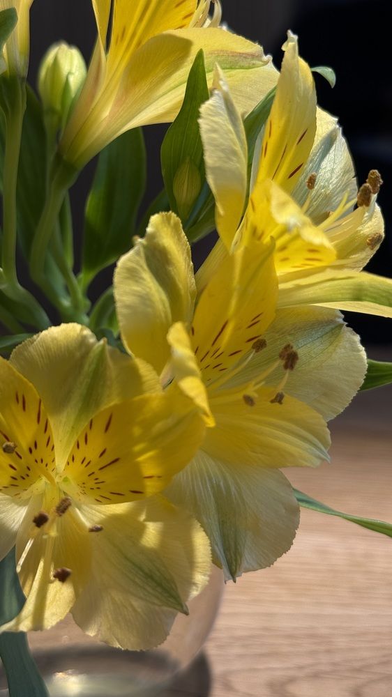 Photograph by Наталья