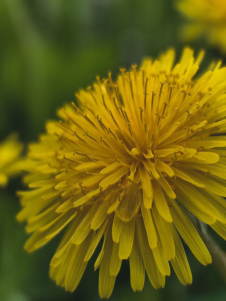 Фотография автора Ольга Панасюк