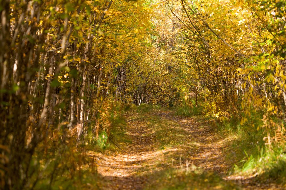 Фотография автора Viktoriya Kim