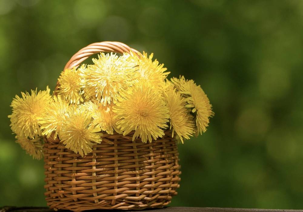 Фотография автора Viktoriya Kim