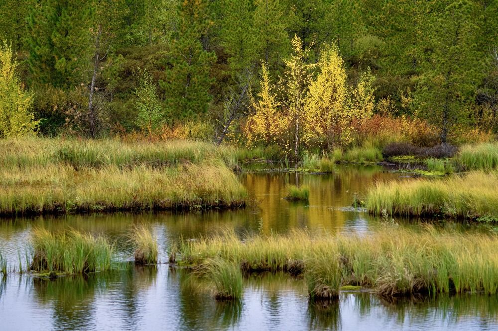 Фотография автора Viktoriya Kim