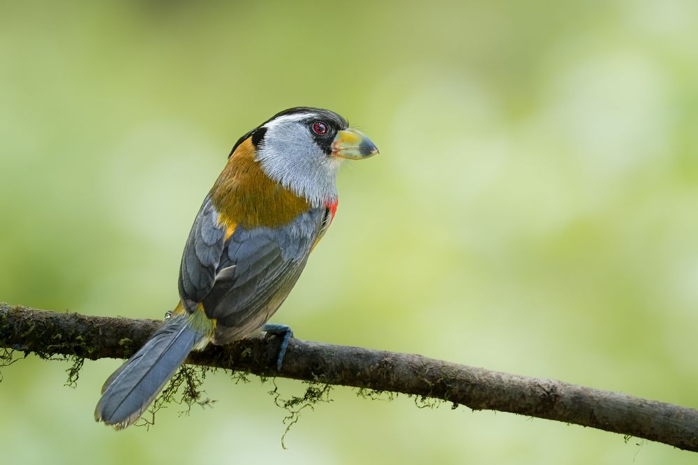 Фотография автора Jian Ma